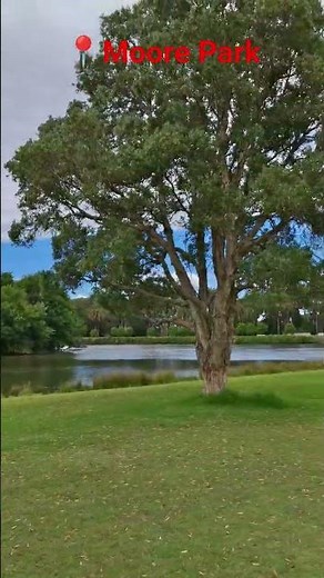 Spectacular View in Moore Park, #sydney