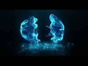 24 - cours c++ : Les Structures de données Partie 1