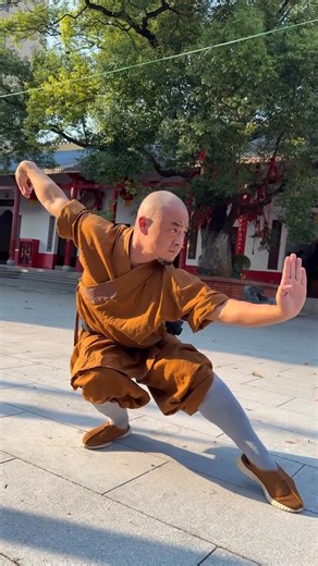 12K views · 158 reactions | WiBù Quán (五步拳)The Five Stance Form, is one of the first routines every Shaolin or Wushu student learns. It forms the base of all traditional Chinese martial arts. This short but powerful sequence trains the five Core stances: #martialarts #karate #gravity #supportourtroops #patriotism #militaryappreciation #military | Aziz Loccos Loccos | Facebook