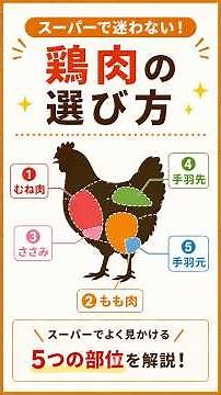 スーパーで迷わない！鶏肉の選び方