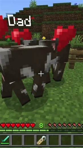 Minecraft Breeding Logic #minecraft #minecraftgameplay #minecraftshorts #minecraftmemes