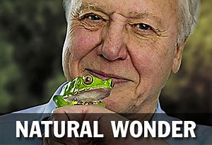 Discovery says they'll be airing climate change show after all, sort of