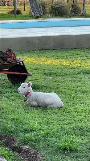 What do you call me? 🥹❤️‍🩹