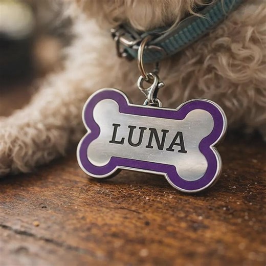 Personalized Dog Name Tag – Custom Engraved Metal Bone ID Tag for Dogs – Puppy Collar Name Pendant - Etsy