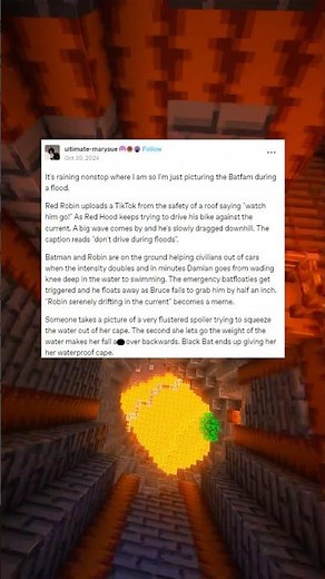 batman saves gotham from a flood