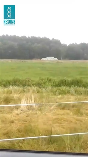 Boost Your Pet's Wellness! 🐾 BICOM therapy is a simple and effective way to help your pet feel better. Just place a mat on your pet's back and an applicator on their neck—it's completely painless and super relaxing! Unlike conventional medicine, BICOM targets the whole body to find and treat the root cause of issues quickly. Explore more at https://bioresonance.vet/bioresonance-for-holistic-vets/🌐 And don't miss out on your free eBook—click the link in our bio! 📖🎁 #bicomtherapy #pethealth #n