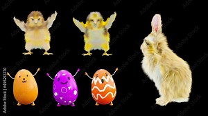 Easter Day, Happy Easter, eggs Dancing, chick and rabbit, 3d rendering, Animation Loop composition 3d mapping cartoon, included in the end of the clip with Alpha matte.