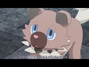 这四种宝可梦都至少拥有三种进化型，你觉得谁最强呢