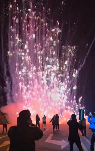 84K views · 1K reactions | The visual experience of 1,000 jellyfish-shaped fireworks lifting off | Radiant Fireworks | Facebook