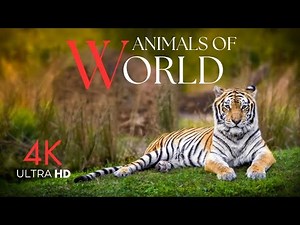 Animals of the World 4K | Incredible Wildlife Across 7 Continents