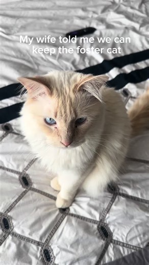 HELP ME #fyp #foryou #viral #trending #explorepage | help me help me