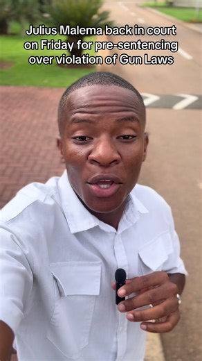 Julius Malema Court Pre-Sentencing: Key Insights