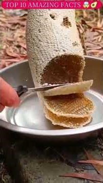 ये सब 🍇🍏 चीज़ जरूर लिखें Best Amaging Facts✅ Food🍓😋10 Fact #factshorts #amazingfacts #trendingreels