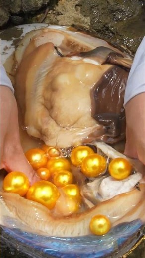 🔥 Girl's Amazing River Find: Mutant Clams Loaded with Gems