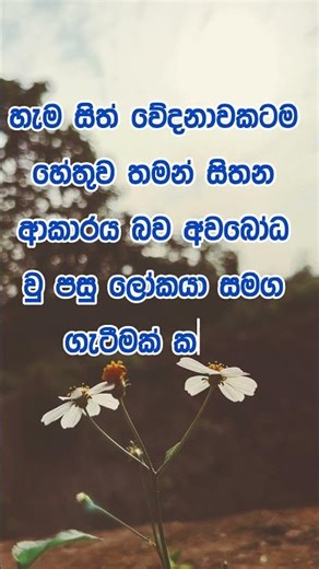 නිවන් දකින්න කාලය පැමිණ ඇත. #love #music #entertainment