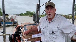 198K views · 2.7K reactions | Owner of St. Mary Seafood & Marina and star of Swamp People on History, Daniel Edgar takes us on a tour of his soft-shell blue crab operation. Soft-shell crab production calls for a commitment because of the tedious task of monitoring the crabs throughout their molting process. Decreasing crab populations are another obstacle threatening the industry, but for those producers hanging on, the demand for soft-shell crabs is strong. | LSU AgCenter | Facebook