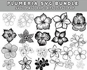 Plumeria Flower SVG Bundle: Tropical Hawaii Outline (digital Download) - Etsy