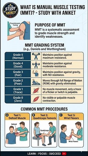📚 Manual Muscle Testing (MMT) – Complete Explanation