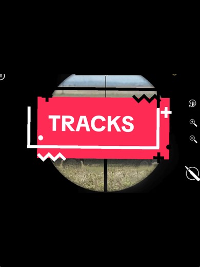 Mastering the Hitman Game: Tips for Lone Wolf Players