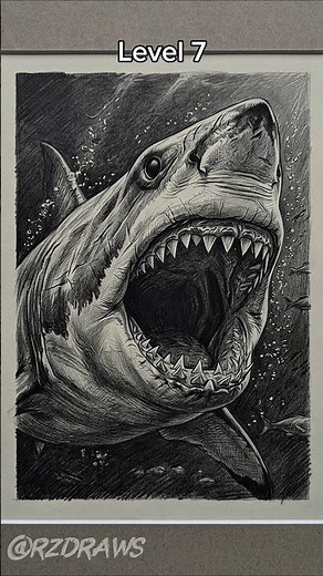 Megalodon Shark Drawing Levels #art