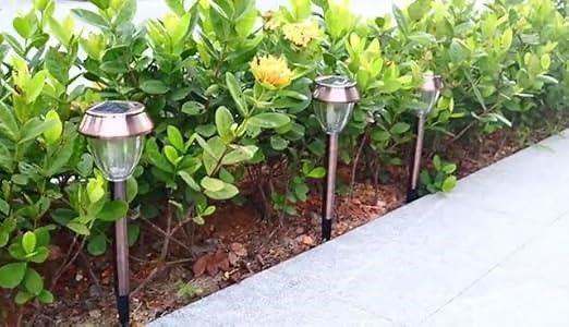Solar Outdoor Lights