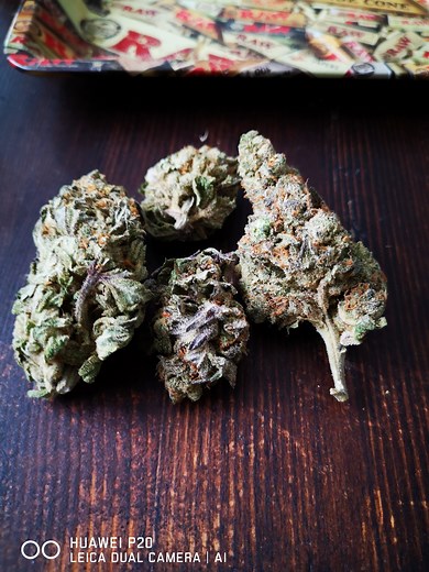 Blue Monster | Marijuana Strain Reviews