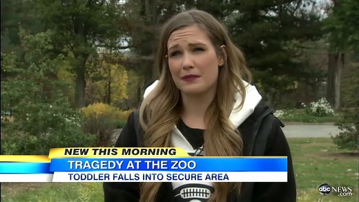 Toddler at Pittsburgh Zoo Killed in Painted Dog Exhibit