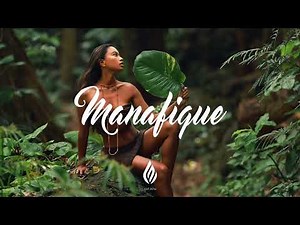 Barth - BAE (Avide Remix)