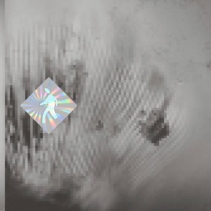 Discovery Zone – Quantum Web (2024) » download by NewAlbumReleases.net