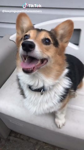 KeepingUpWithChellyBean on TikTok