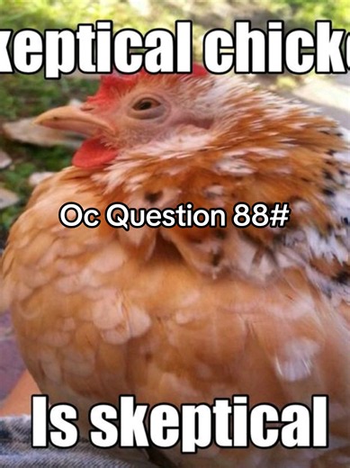 #ocquestions #xyzbca #funnyquestions | questions