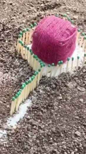 #pataka #vip #bombstash #phonk #anime #experiment #crackeresxperiment #animeedit #funny #trending