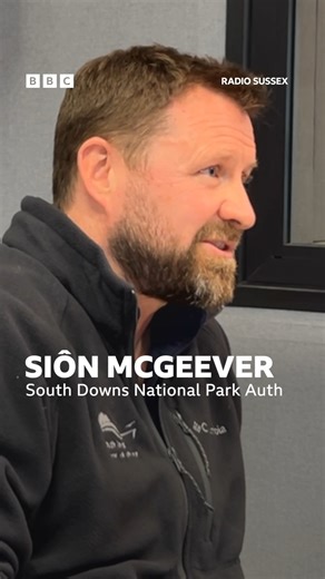 In the Hot Seat. South Downs National park talk rewilding and the next big challenges for the region. | BBC Sussex