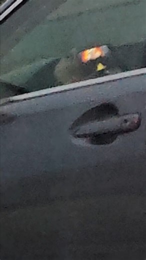 12K views · 190 reactions | The car did not appear to be self-driving as far as I could tell. | Dashcam Lessons | Facebook