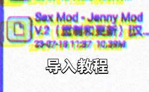 jenny addonv2导入教程
