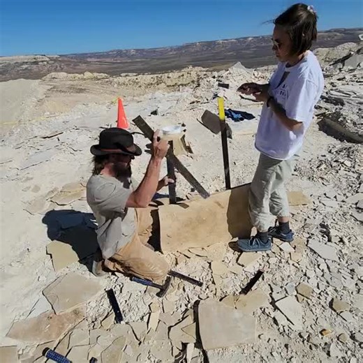 Unearth Ancient Fossils: Join the Dig at Butte Member