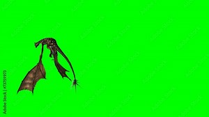 dragon - wyvern is flying - 3 different views Stock Video