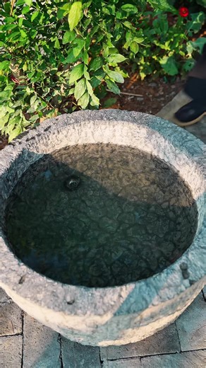 The Fascinating Journey of Rocks to Jade