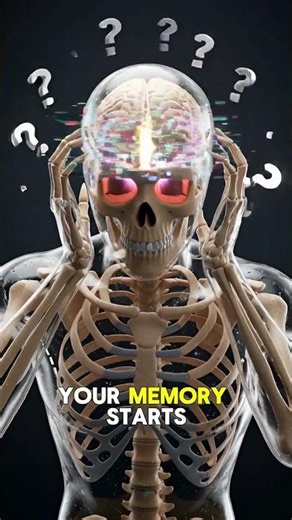 What Happens If You Never Sleep? 😳