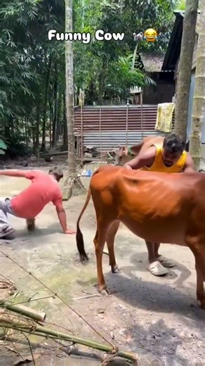 #bestof #funny #clumsypeople #comedy #clumsy #memes #epicfails