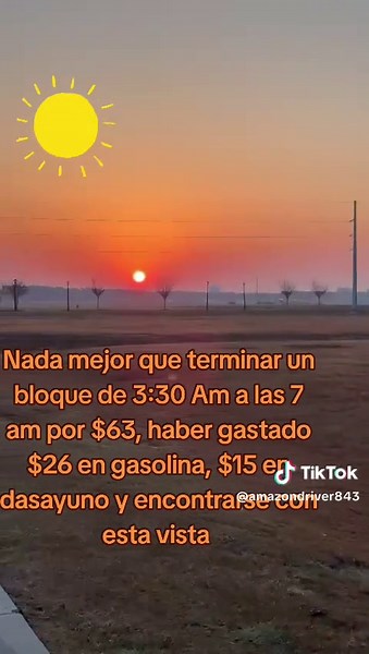 Maximizing Earnings with Amazon Flex Delivery