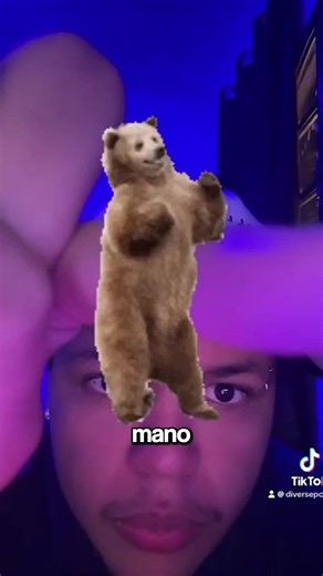 o filtro do urso #trend #trending #filtro #diverse | bear