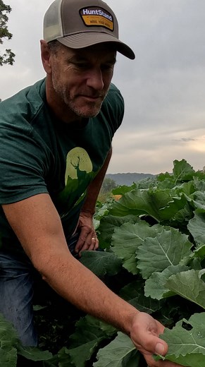 HuntStand on Instagram: "Food Plot Planning 101: Key Considerations for planning and planting food plots. Link ☝️ #HuntStand #FoodPlots #WhitetailDeer #BillWinke #BowhuntingWhitetails"