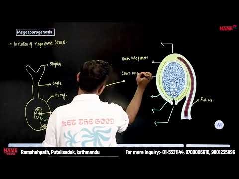 Embryology Part-1 || Name Institute||