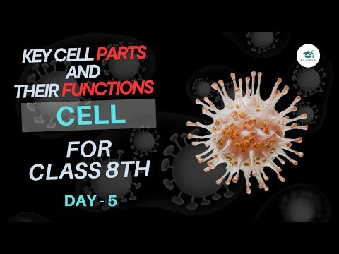 Day 5: Key Cell Parts and Their Functions Explained