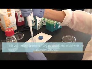 Making Alginate Gels