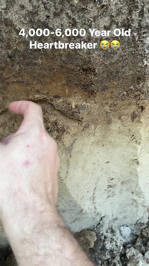 3.4M views · 10K reactions | Beautiful broken Newnan Arrowhead 4,000-6,000 Year Old . Suspect impact fracture likely broken during use . #treasure #florida #rockhound #history | Every Day I'm Shoveling | Facebook