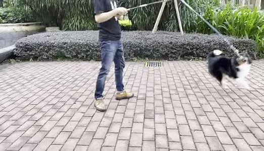 0dc3fa59fe654f869153451715768fe5