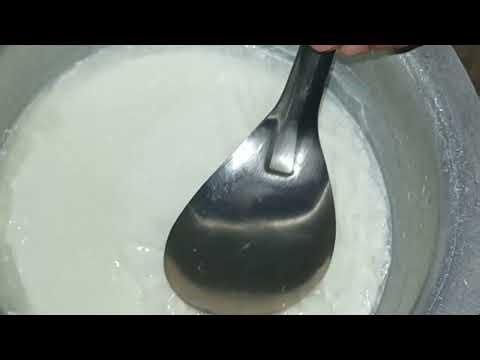 Homemade Curd Making Process | Natural Healthy Dahi | Easy Village Style Curd | Divya Gugulothu