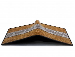 Tipos de seguros para personas con discapacidad o enfermedad - Salud-Seguro-Y-Medicare 2026